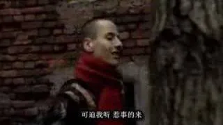 vitas 鱼 音译