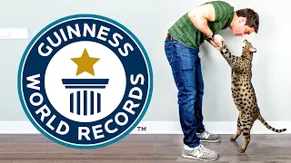 Tallest Cat Living - Guinness World Records