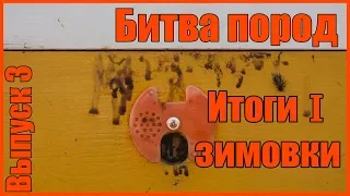 Итоги зимовки 2018. Битва пород