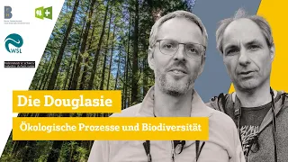 Die Douglasie – Ökologische Prozesse und Biodiversität