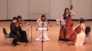Dvorak String Quintet Op.77 III. Poco Andante