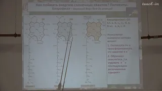 Константинова С.В. - Физиология и биохимия растений  - 6. Фотосинтез