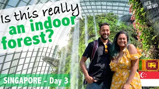 Cloud Forest, Singapore - The Most Beautiful Indoor Waterfall