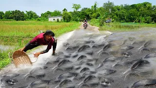 Really Catching & Catfish on the Road Flooded - OMG! Fisherman Fishing A lot Fish Crossing Road