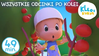 Kleo i Kukin  🎥🎉WSZYSTKIE ODCINKI PO KOLEI🎉 🎥 Kolekcja kreskówek 🎬  Masza i Niedźwiedź przedstawiają