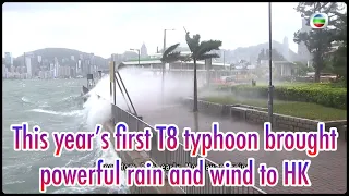 TVB News | 17 Jul 2023 | This year’s first T8 typhoon brought powerful rain and wind to HK