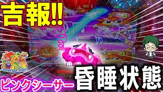 【海306連】Pスーパー海物語IN沖縄5!ピンクシーサーの昏睡状態が何故か吉報！！