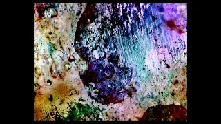 For Marilyn (1992) | Stan Brakhage