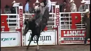 Rodeo Highlights - Day 4