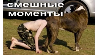 Лучшие домашние приколы,угарные приколы март/ The best home fun