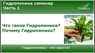 🌱 Гидропоника семинар. Часть 1. 🌱 Что такое гидропоника? Почему гидропоника?