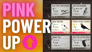 Slow and steady win the game | Pink power strategy in Wingspan Oceania