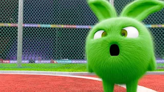 Sunny Bunnies | Mad Hopper | SUNNY BUNNIES COMPILATION | Cartoons for Children