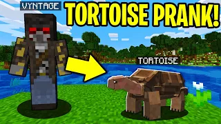 TROLLING AS A TORTOISE IN MINECRAFT!