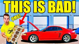 Rebuilding The World's Fastest Cobra Mustang! ABANDONED For 20 Years! New Engine & CARNAGE!