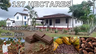 Fazenda a Venda. Produção Cacau, em Ubaitaba, BA / R$ 2.800.000