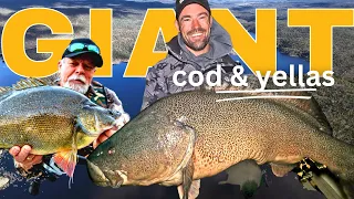 Watch MONSTER Murray Cod & Yellowbelly EAT Your Lure! (Diving Into The Live Sonar "Scoping" Debate!)