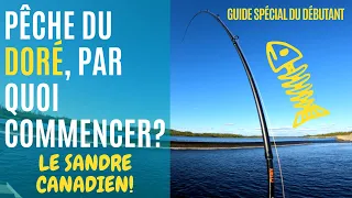 Guide de pêche au doré pour débutants: Conseils et astuces