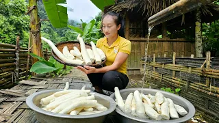 Harvest cassava - How to peel, boil cassava goes to the market sell | Ly Thi Tam