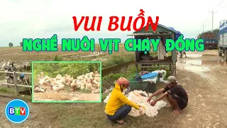 Vui buồn nghề nuôi vịt chạy đồng