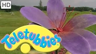 Teletubbies: Colours: Purple - Full Episode