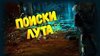 ПОИСКИ ПОЛЕЗНОГО ЛУТА В СТАЛКЕР ОНЛАЙН! STAY OUT