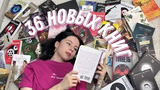 ПОСЛЕДНИЕ КНИЖНЫЕ ПОКУПКИ перед долгим перерывом 📚🔥