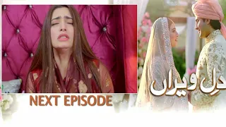 Dil e Veeran Episode 22 Teaser Review  || Dil e Veeran 23 & 23 Ep Promo Review || Drama Mr Malik