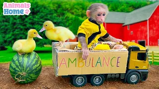 Monkey BiBi and ducklings harvest fruit to make smoothies