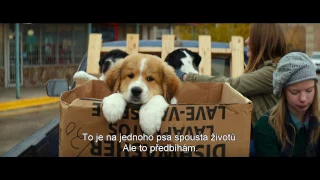 Psí poslání -  trailer s českými titulky