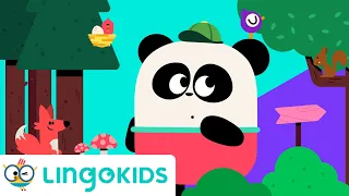 FOREST ANIMALS for Kids 🌲🦌🐇 VOCABULARY, SONGS and GAMES | Lingokids