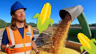 Handyman Hal explores the Farm | Farm Equipment Vechicls for Kids | Corn Harvesting