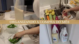 ORGANIZANDO A COMPRA DO MÊS | organização das compras do mes na despensa, geladeira e lavanderia