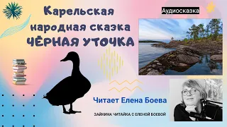 Карельская народная сказка "Чёрная уточка"