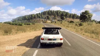 DiRT Rally 2.0 | Peugeot 205 T16 Evo 2 | Onboard