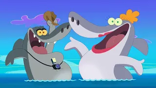 Zig & Sharko 💙👀 BIG FAMILY COMPILATION 👀💙Cartoons for Children