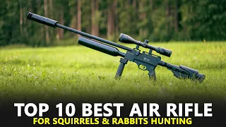Best Air Rifle for Squirrels and Rabbits - Top 10 Best Air Rifle for Hunting