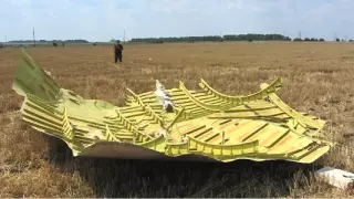 The Final Sequence of Events Of Malaysian Airline Flight MH 17 Crash