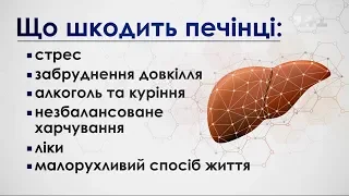 Що найбільше шкодить печінці і як запобігти хворобам – поради гастроентеролога