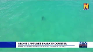 Drone captures Shark encounter