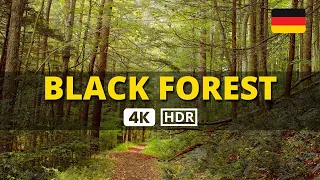 👏 Stunning BLACK FOREST Drive MUMMELSEE to BADEN BADEN GERMANY Road Trip 4K UHD Schwarzwald 🤯