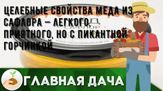 Целебные свойства меда из сафлора — легкого, приятного, но с пикантной горчинкой