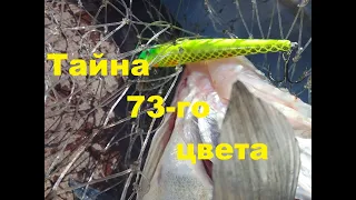 Тайна 73 го цвета