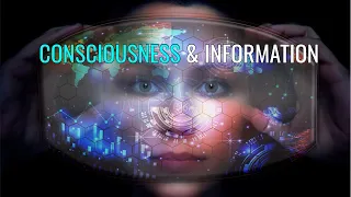 Consciousness & Information | Part II of Consciousness: Evolution of the Mind (2021) Documentary