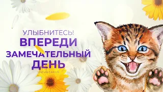 С самым Добрым утром! Открытка красивое пожелание с добрым утром! Котики и ромашки