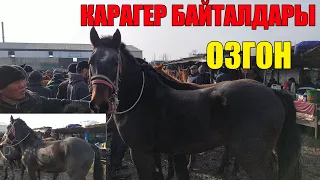 КАРАГЕР Сындуу ОСПУРУМ Жаш Тайлар БЭЭ БАЙТАЛ Озгон 09/03/2020