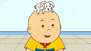 Caillou's Pet Bunny | Caillou's New Adventures