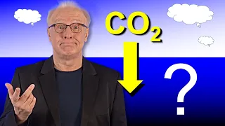 Wieviel CO2 passt in die Ozeane? (Natürliche Senken) | #74. Energie und Klima