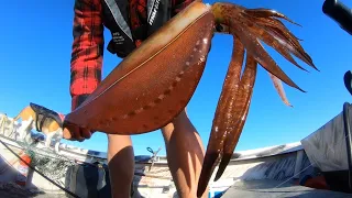 I caught the worlds biggest squid at Queenscliff!!