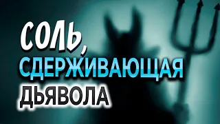 #306 Соль, сдерживающая дьявола - Алексей Осокин - Библия 365 (2 сезон)